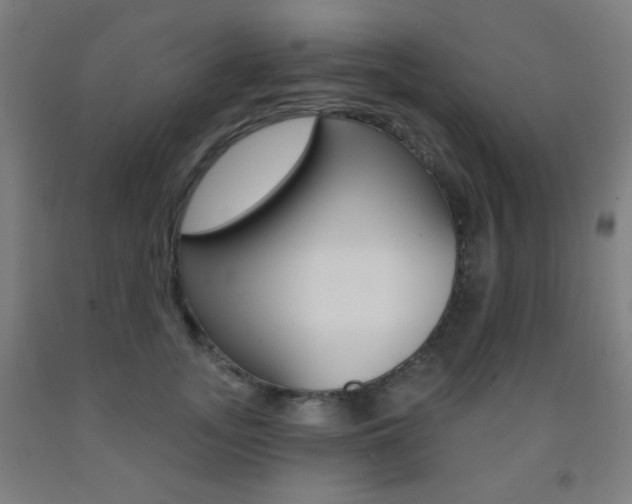 X0000093250755200709261556