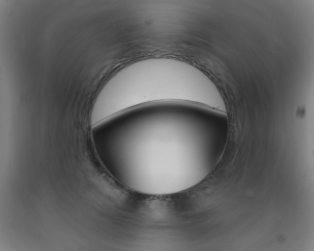X0000093250756200709261556