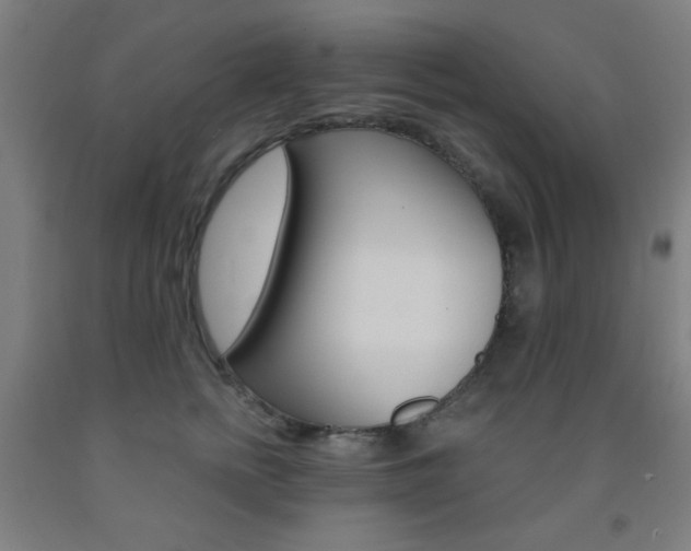 X0000093250758200709261556