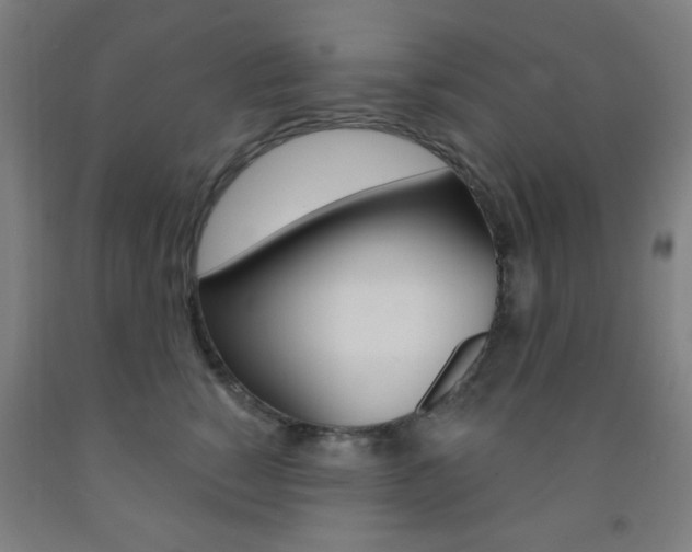 X0000093250760200709261556