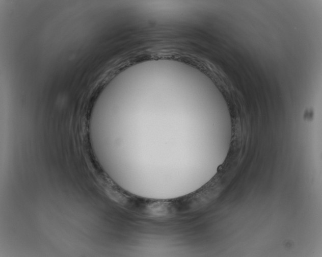 X0000093250761200709261556