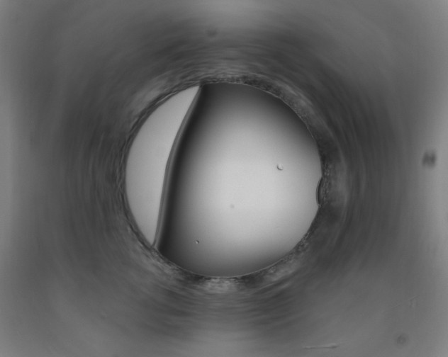 X0000093250762200709261556