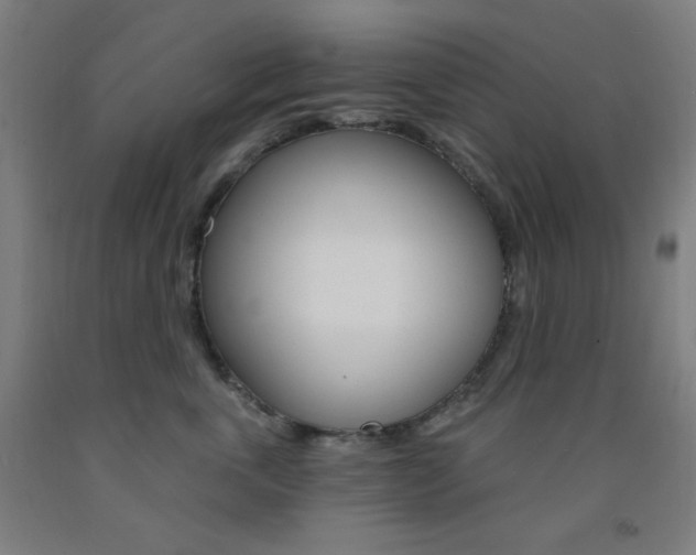 X0000093250763200709261556