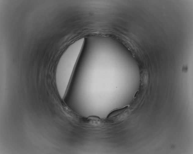 X0000093250764200709261556