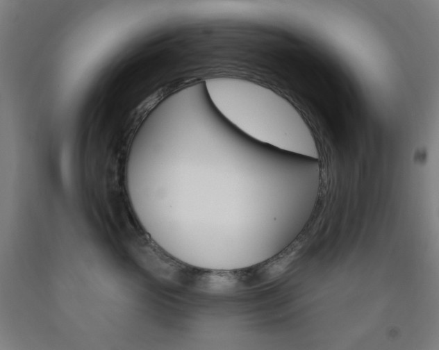 X0000093250765200709261556
