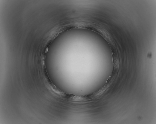 X0000093250766200709261556