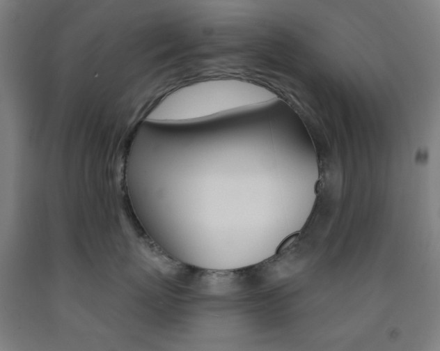 X0000093250767200709261556