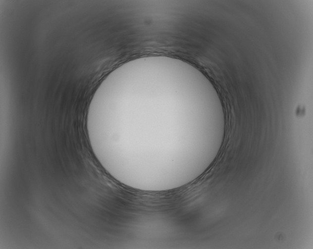 X0000093250768200709261556