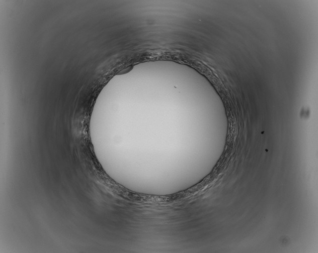 X0000093250770200709261556