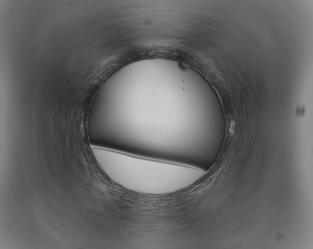 X0000093250771200709261556