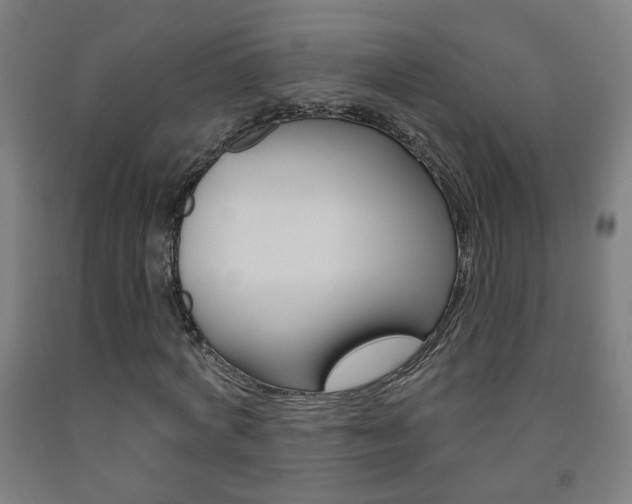 X0000093250772200709261556