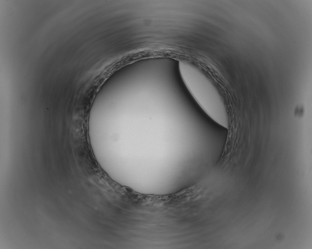 X0000093250773200709261556