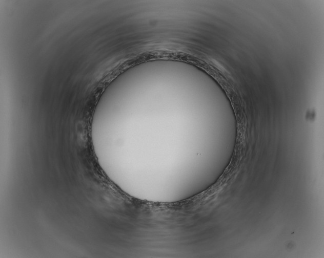 X0000093250774200709261556