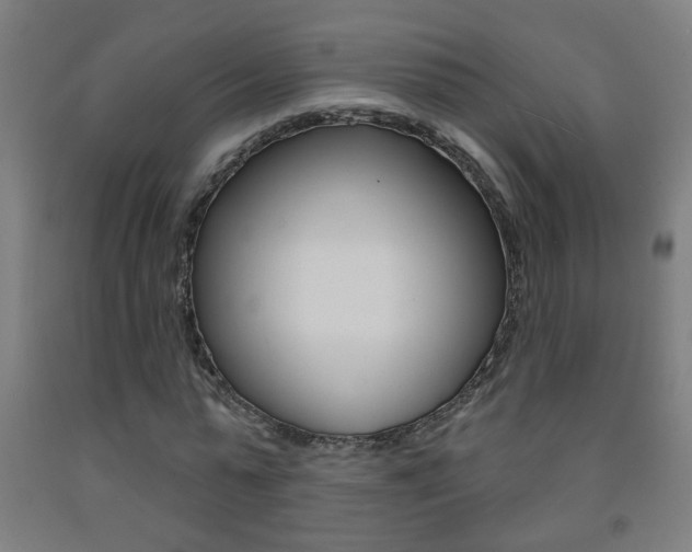 X0000093250775200709261556