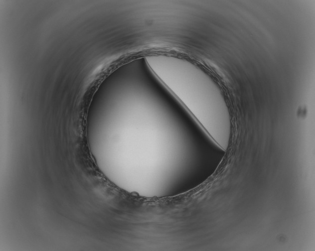 X0000093250776200709261555