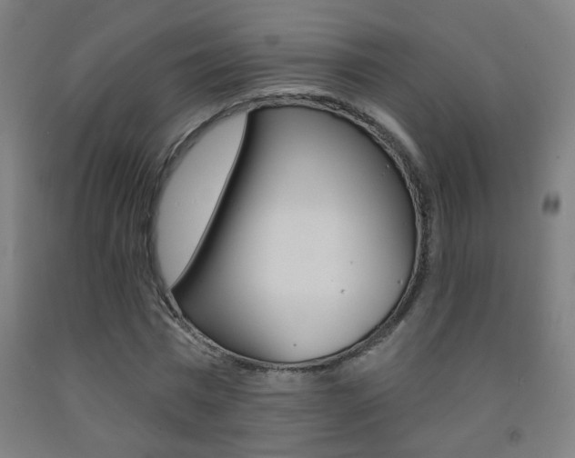 X0000093250777200709261555