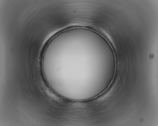X0000093250779200709261555