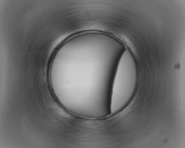 X0000093250780200709261555