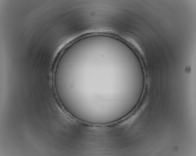 X0000093250781200709261555