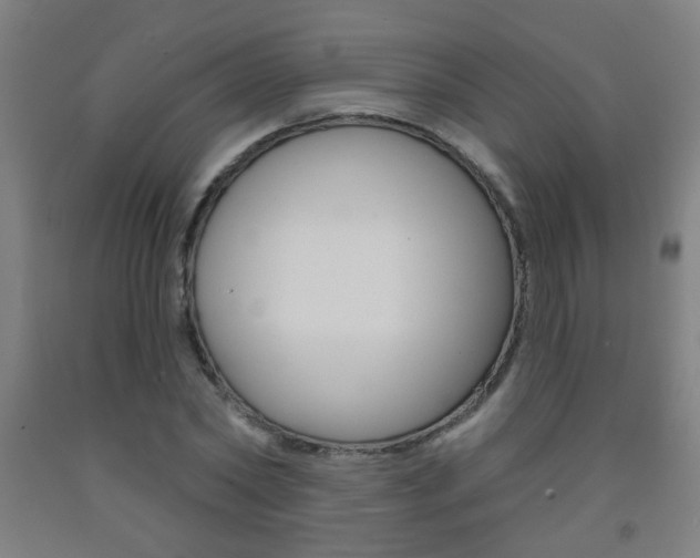 X0000093250782200709261555