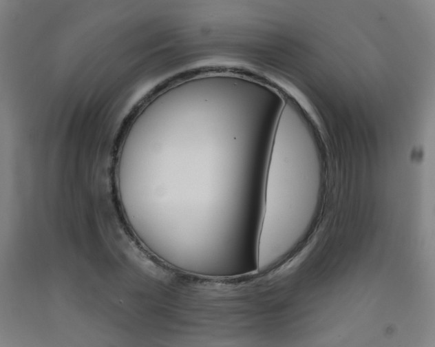 X0000093250783200709261555
