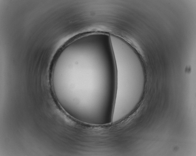 X0000093250784200709261555