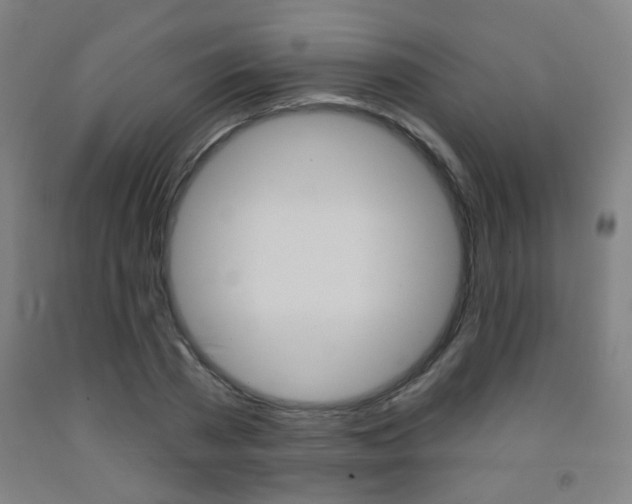 X0000093250785200709261555