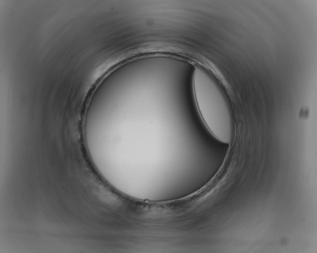 X0000093250786200709261555