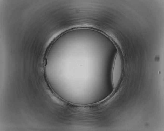 X0000093250789200709261555