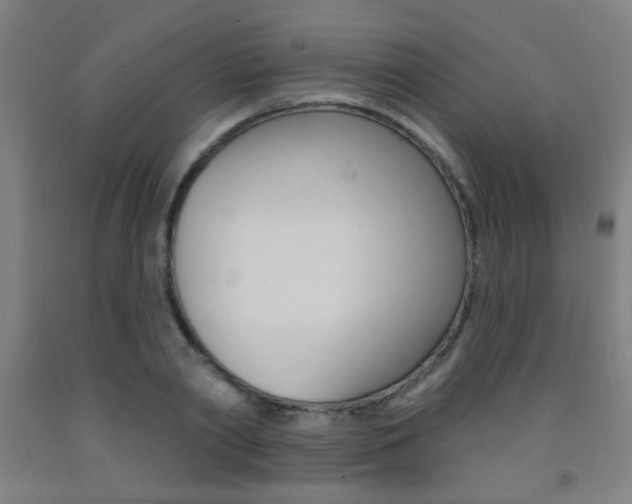 X0000093250790200709261555