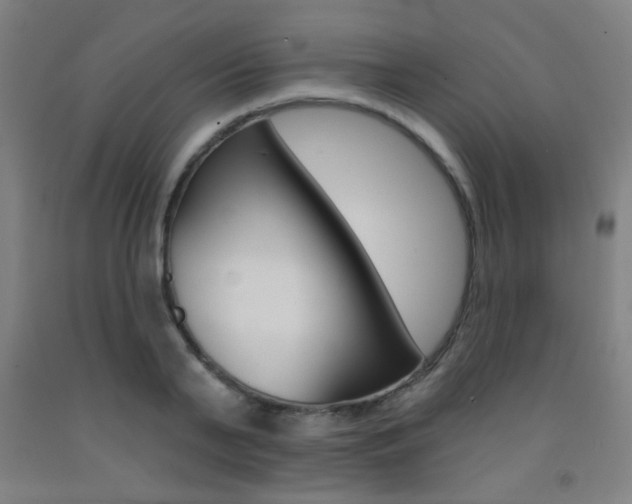 X0000093250791200709261555