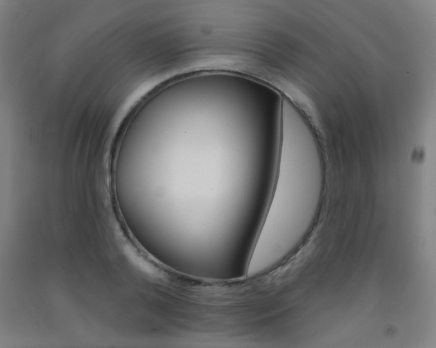 X0000093250792200709261555
