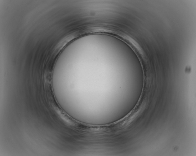 X0000093250793200709261555