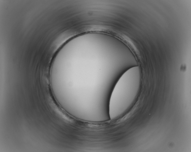 X0000093250794200709261555