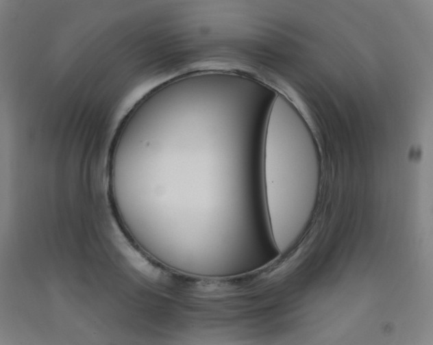 X0000093250795200709261555