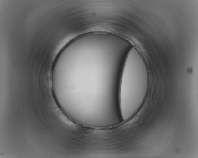 X0000093250796200709261555