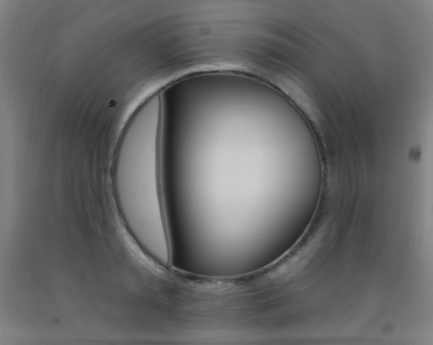 X0000093250797200709261555