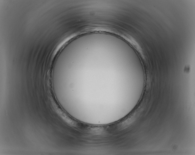 X0000093250798200709261555