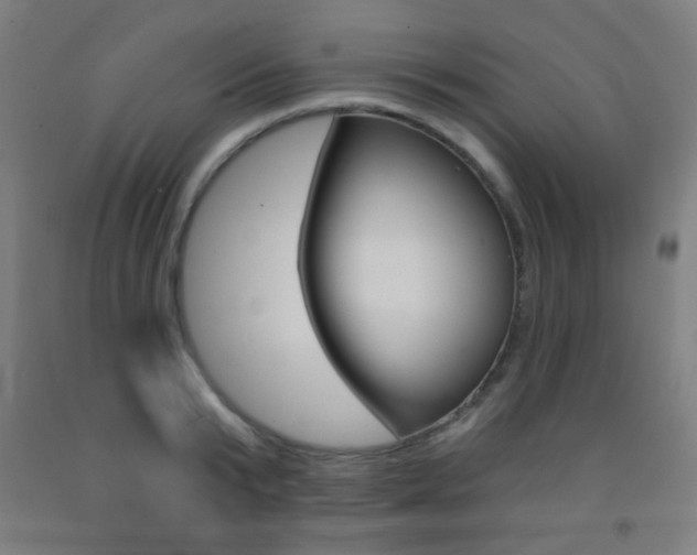 X0000093250799200709261555
