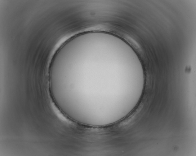 X0000093250800200709261555