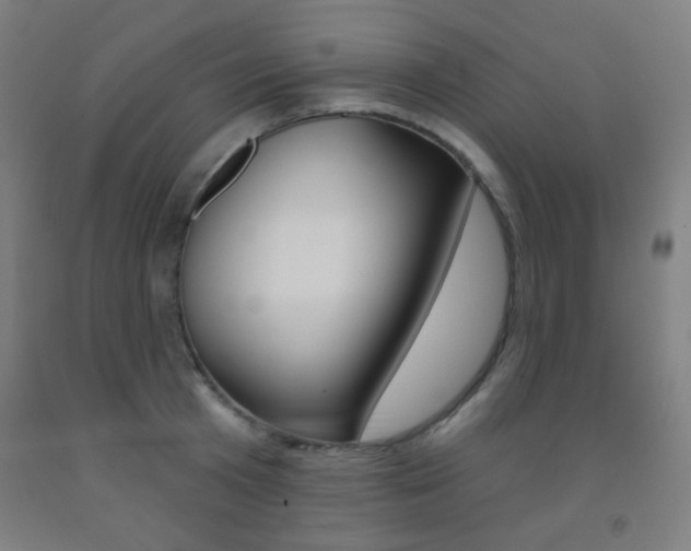 X0000093250801200709261555
