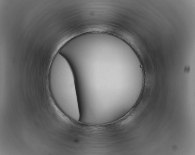 X0000093250802200709261555