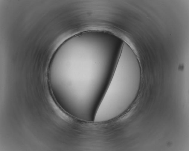 X0000093250803200709261555