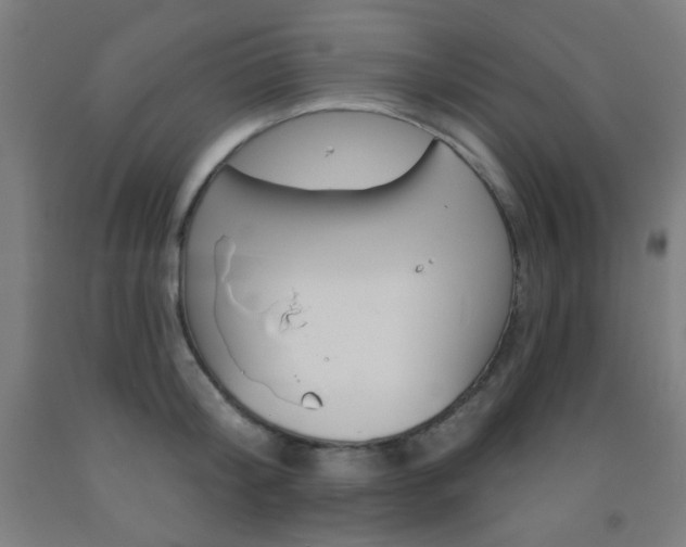 X0000093250804200709261555