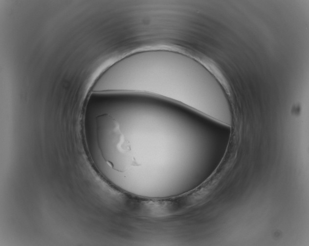 X0000093250805200709261555