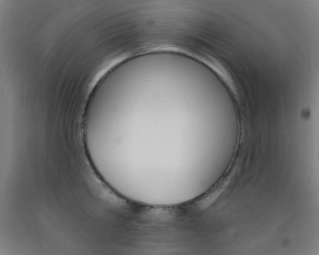 X0000093250806200709261555
