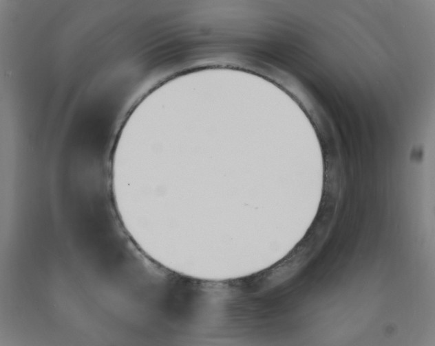 X0000093250807200709261555