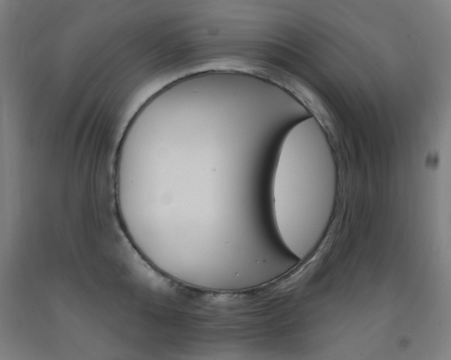 X0000093250808200709261555