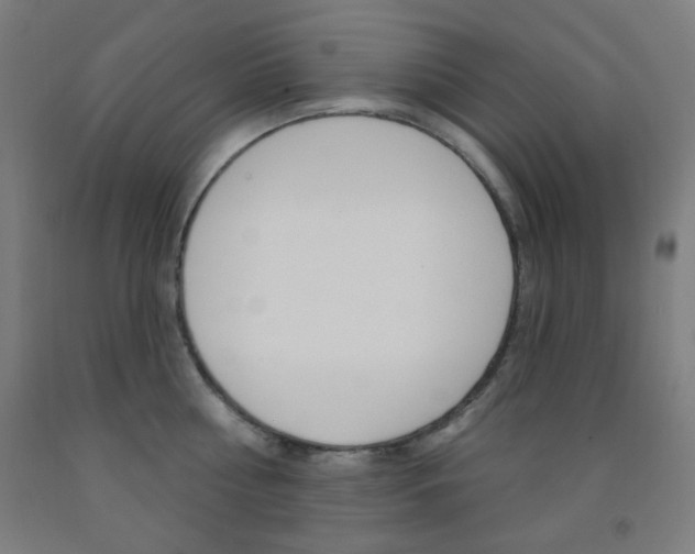 X0000093250810200709261555