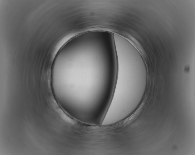 X0000093250812200709261555
